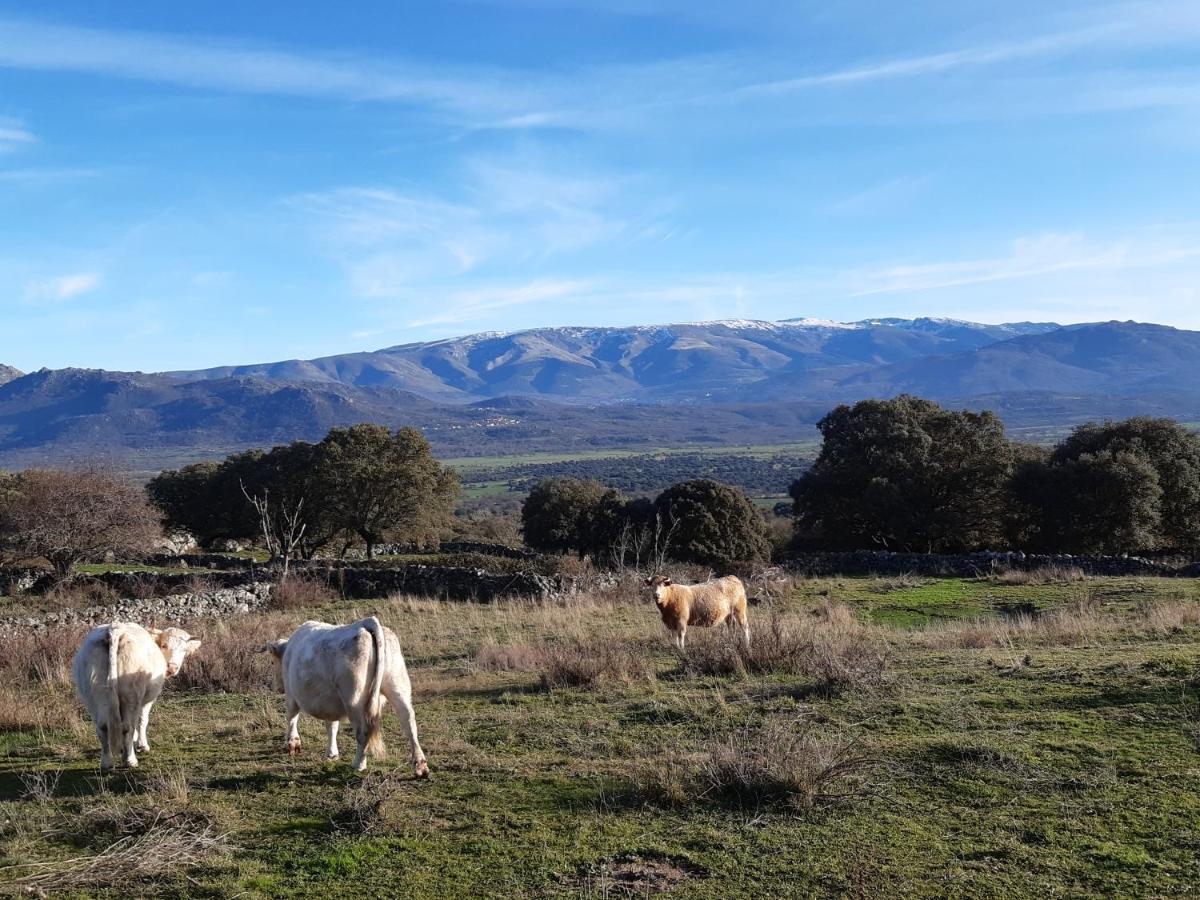 Casa Rural Mi Descanso Valdefuentes de Sangusin Luaran gambar